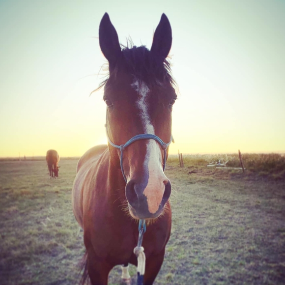 Meet your Posher, Kaitlyn - Picture 1 of 1